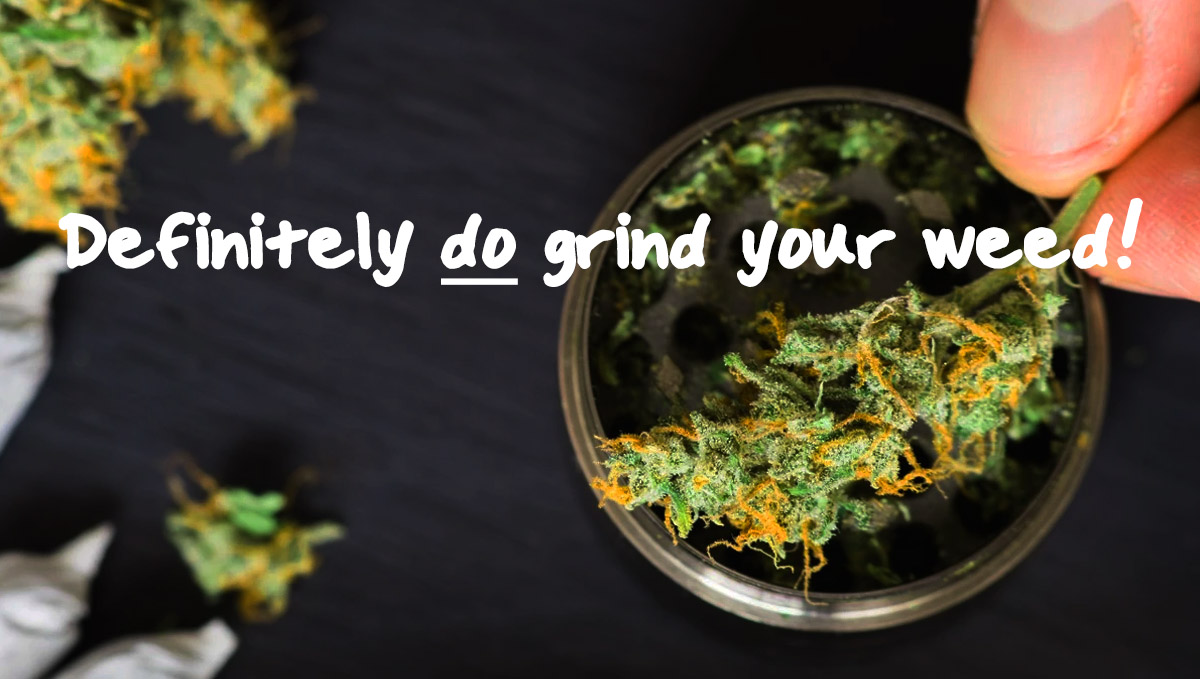 You should absolutely definitely grind your weed! You should absolutely definitely grind your weed!