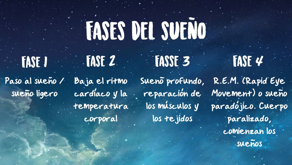 Explicación de las diferentes etapas del sueño. Explicación de las diferentes etapas del sueño.