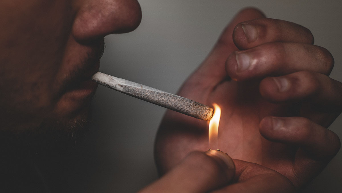 Edibles impact on your brain: intra and inter-availability Edibles impact on your brain: intra and inter-availability