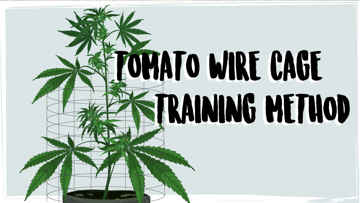 Screenshot 2021-05-04 at 13.04.11.png