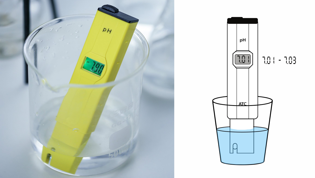 Why and how to use a pH pen: step 2 Why and how to use a pH pen: step 2