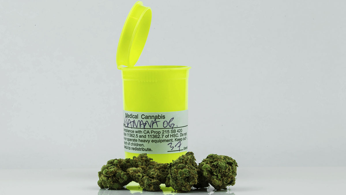 Smoking cannabis daily can provide health benefits such as preventing cancer, and helping those with PTSD. What Happens To Your Body When You Smoke Weed Every Day?: Smoking cannabis daily can provide health benefits such as preventing cancer, and helping those with PTSD.