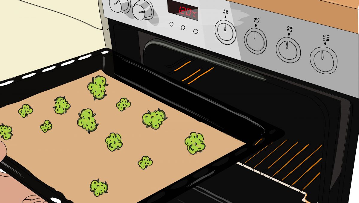 Dercarboxylation leads to CBN production.