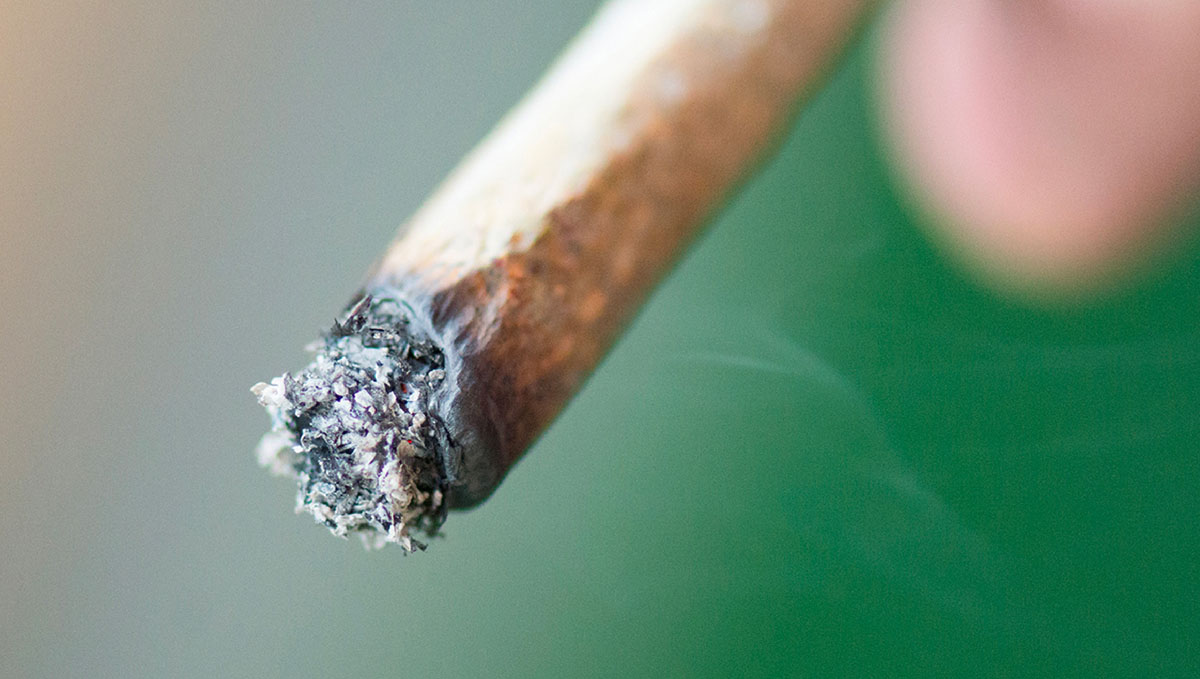 Is the white ash myth true or false? Time to find out.