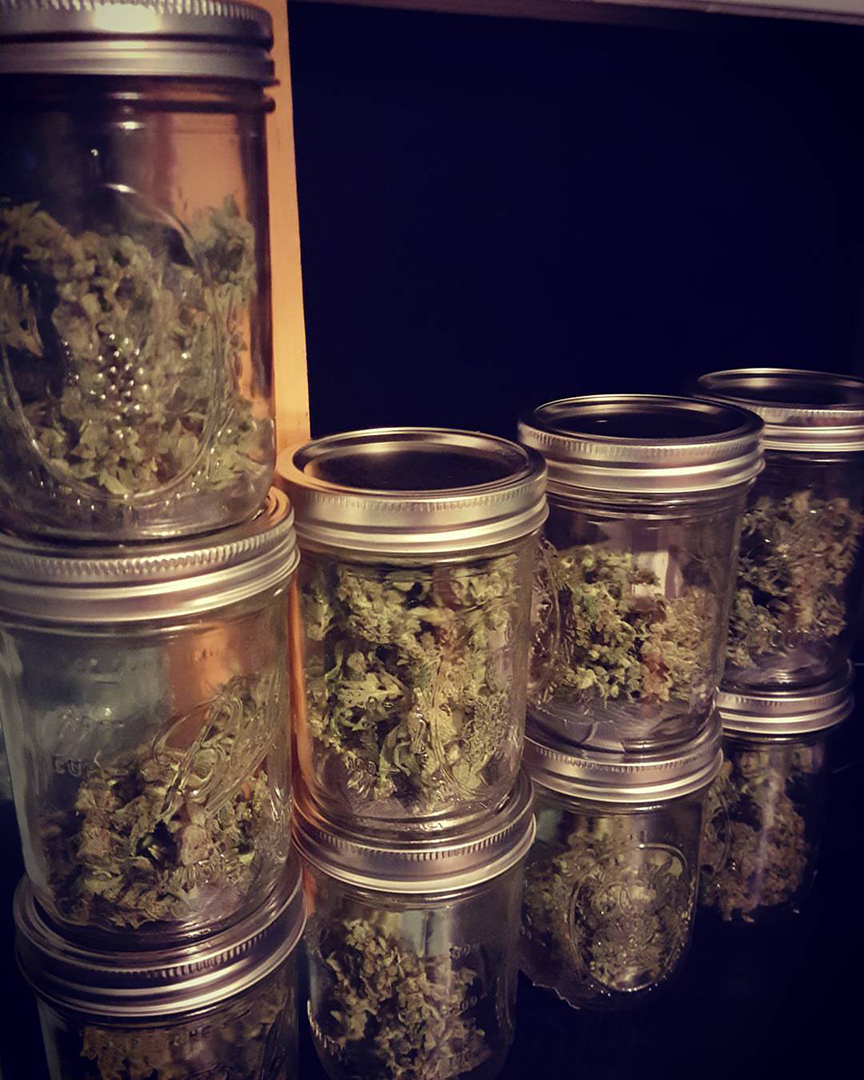 fast-buds-gorilla-glue-dry.jpg Fast Buds Gorilla Glue in Jars