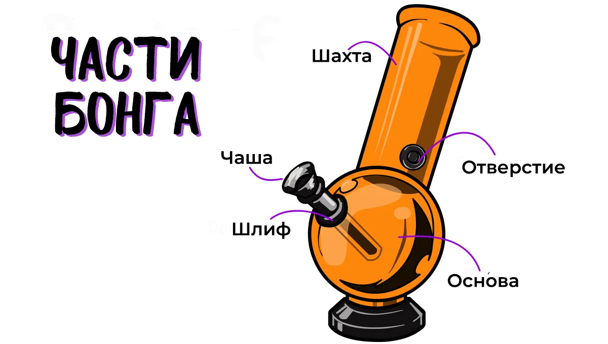 Explaining the different parts of a bong.