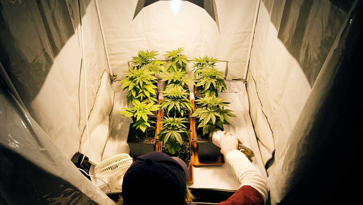 9 time-saving tips: grow and learn