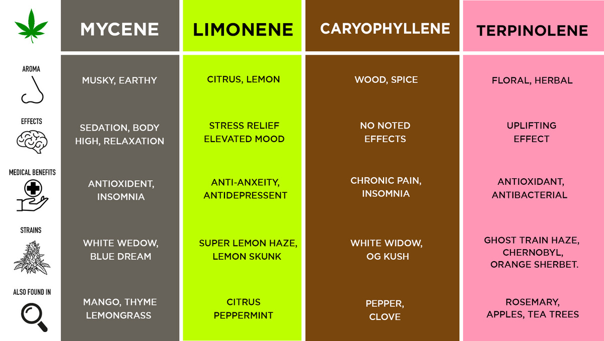 Most common terpenes and their effects