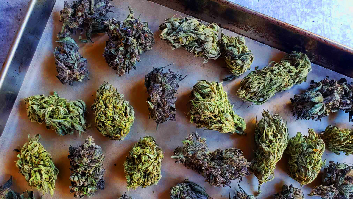 Don't forget to decarboxylate the weed! Don't forget to decarboxylate the weed before making the oil.