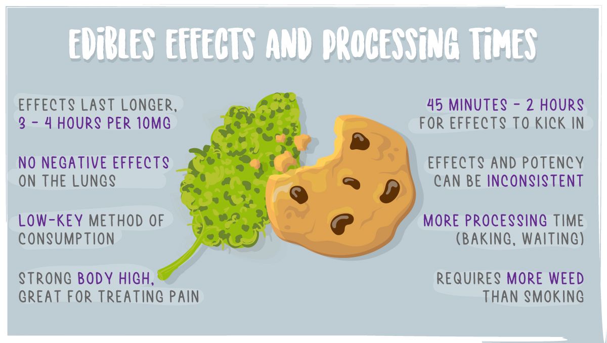 Edibles impact on your brain: eating cannabis Edibles impact on your brain: eating cannabis