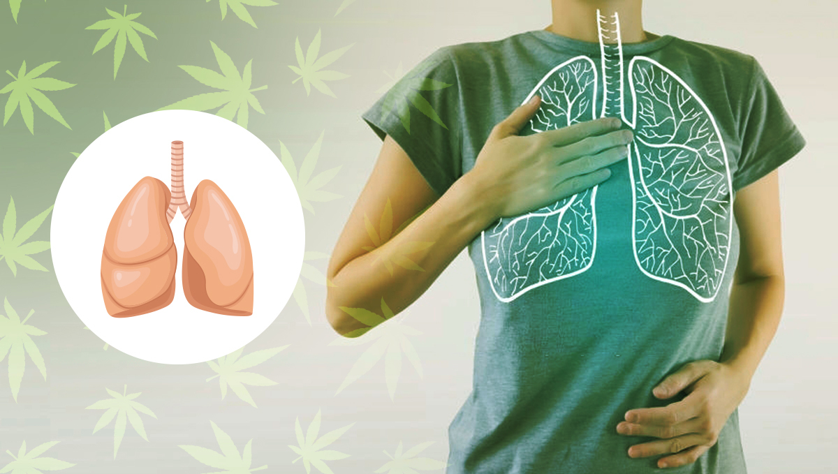 Edibles have zero affections on our lungs Edibles have zero affections on our lungs