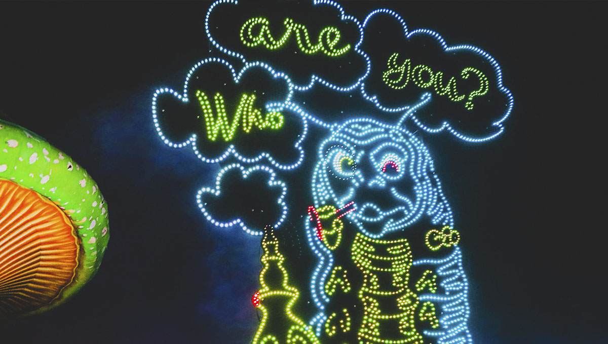 Which type of stoner are you? Which type of stoner are you?