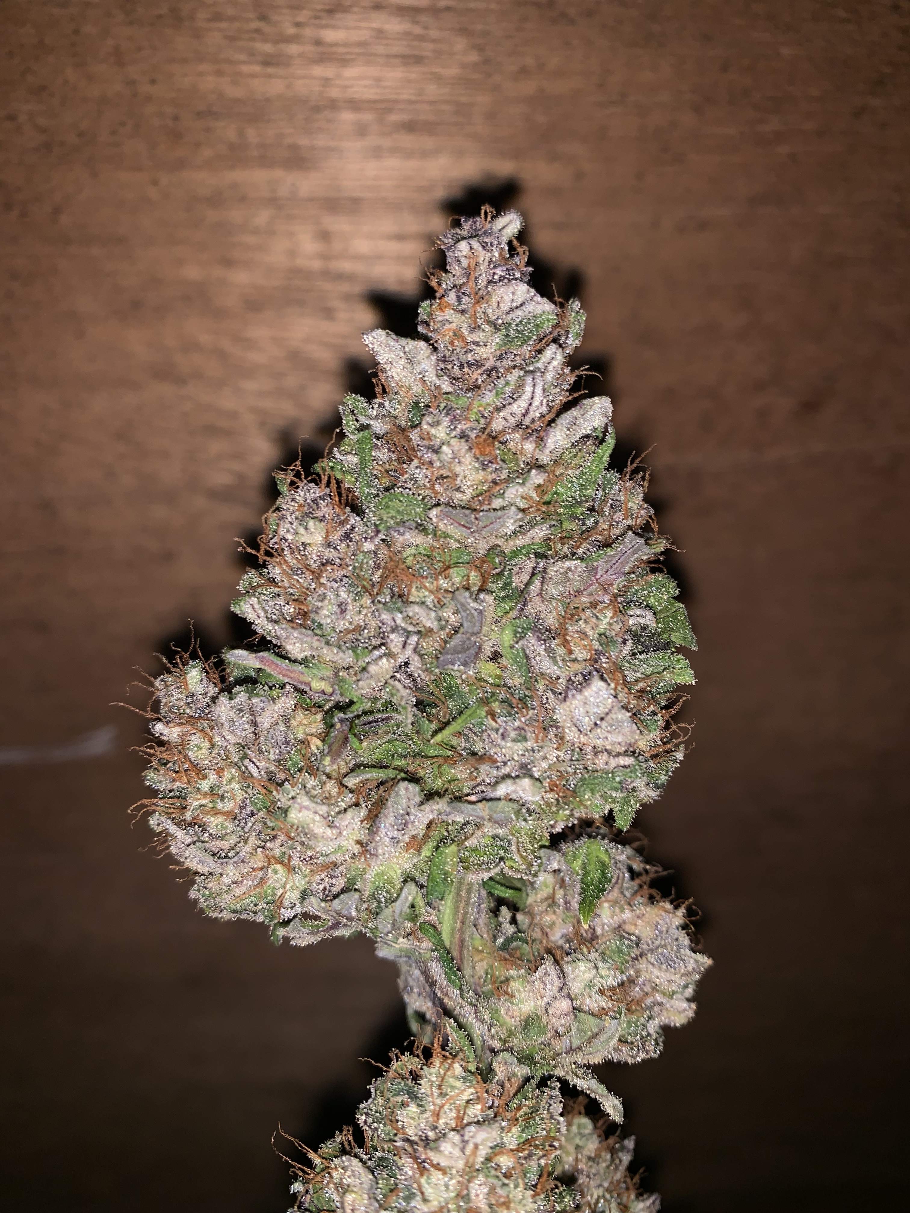 Fastbuds Blackberry - ThatoneAKguy