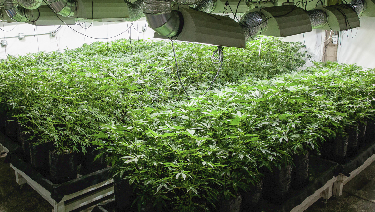 Light burn: overlaying lights