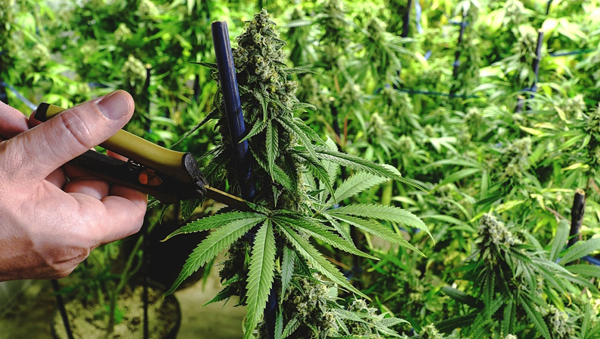 9 time-saving tips: optimized space