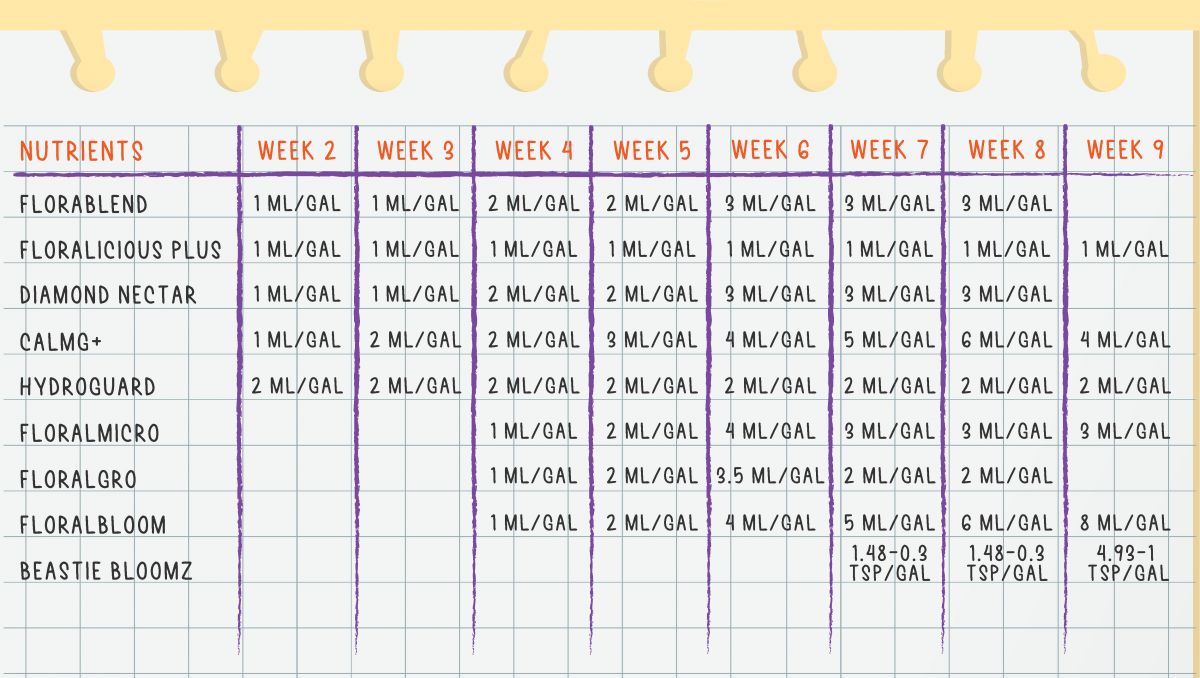 Gorilla Cookies Auto, guía semanal de la variedad: Programa de alimentación Gorilla Cookies Auto, guía semanal de la variedad: Programa de alimentación
