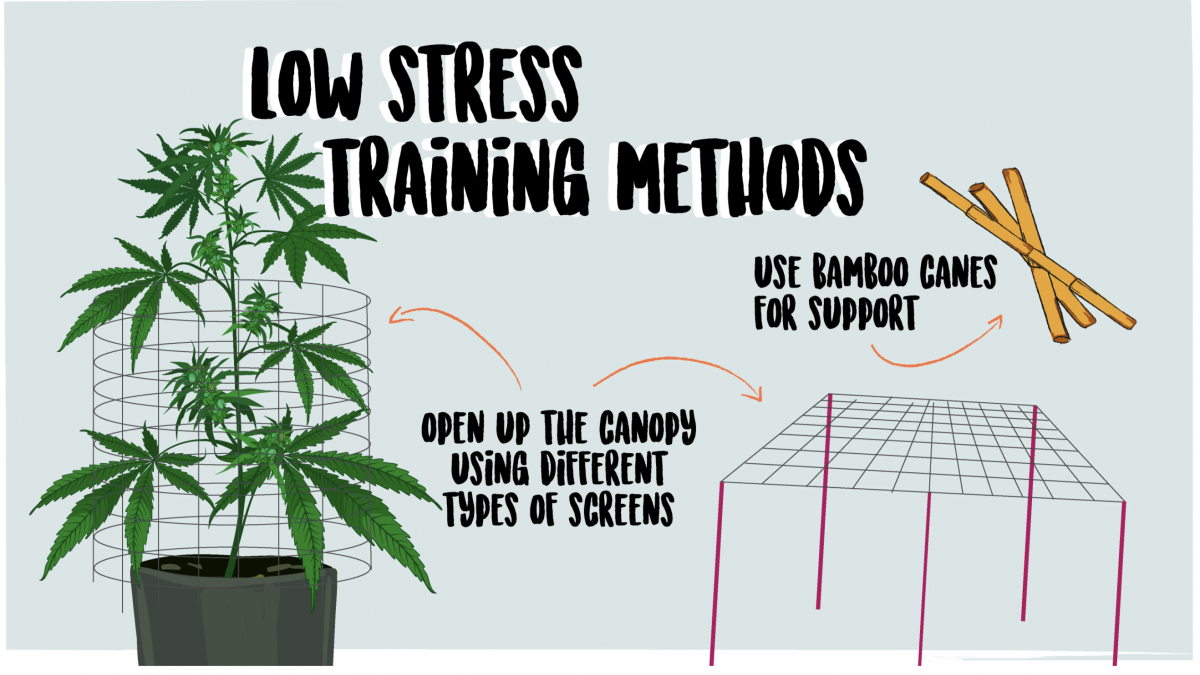 Screenshot 2021-05-04 at 12.58.59.png