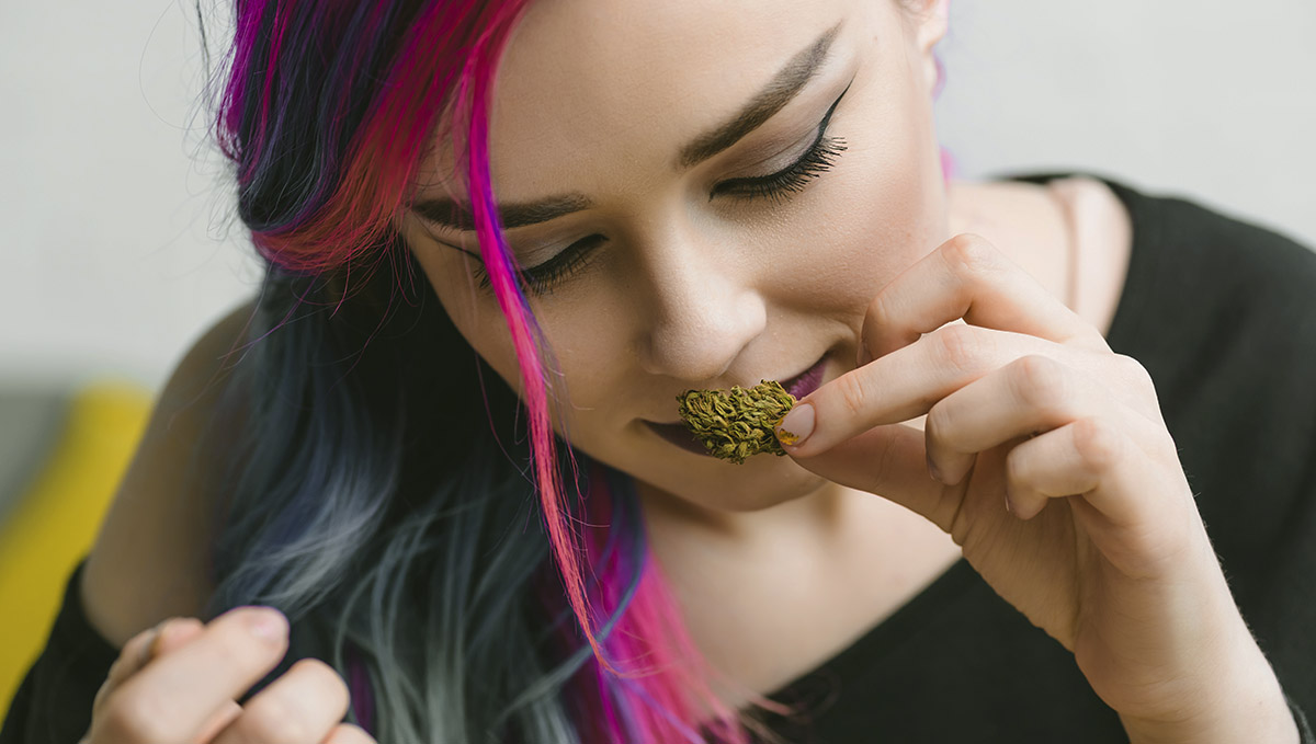 Terpinolene is the terpene characteristic of that woody, floral, herbal, and piney cannabis flavor and scent. Terpinolene is the terpene characteristic of that woody, floral, herbal, and piney cannabis flavor and scent.