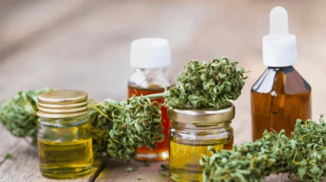 Health benefits of CBD: CBD Flowers & Oil