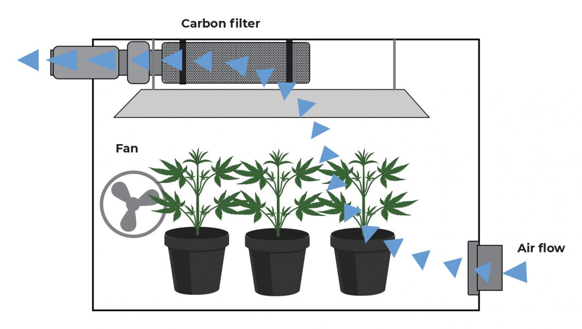 Ventilation For Grow Tent or Grow Room: Cheap And DIY Solutions - Grow room setup ventilation