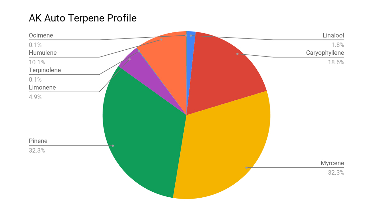 AK auto cannabis strain: terpene profile