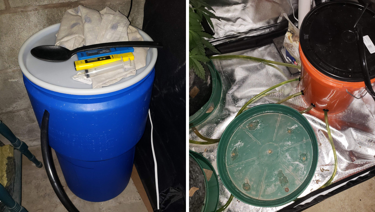 Strawberry Pie Auto Cannabis Strain Week-by-Week Guide: A reservoir, self-draining saucers, and a catchment bucket Strawberry Pie Auto Cannabis Strain Week-by-Week Guide: A reservoir, self-draining saucers, and a catchment bucket