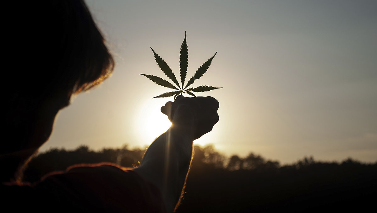 Talk, talk and talk some more. Break the taboo about cannabis.