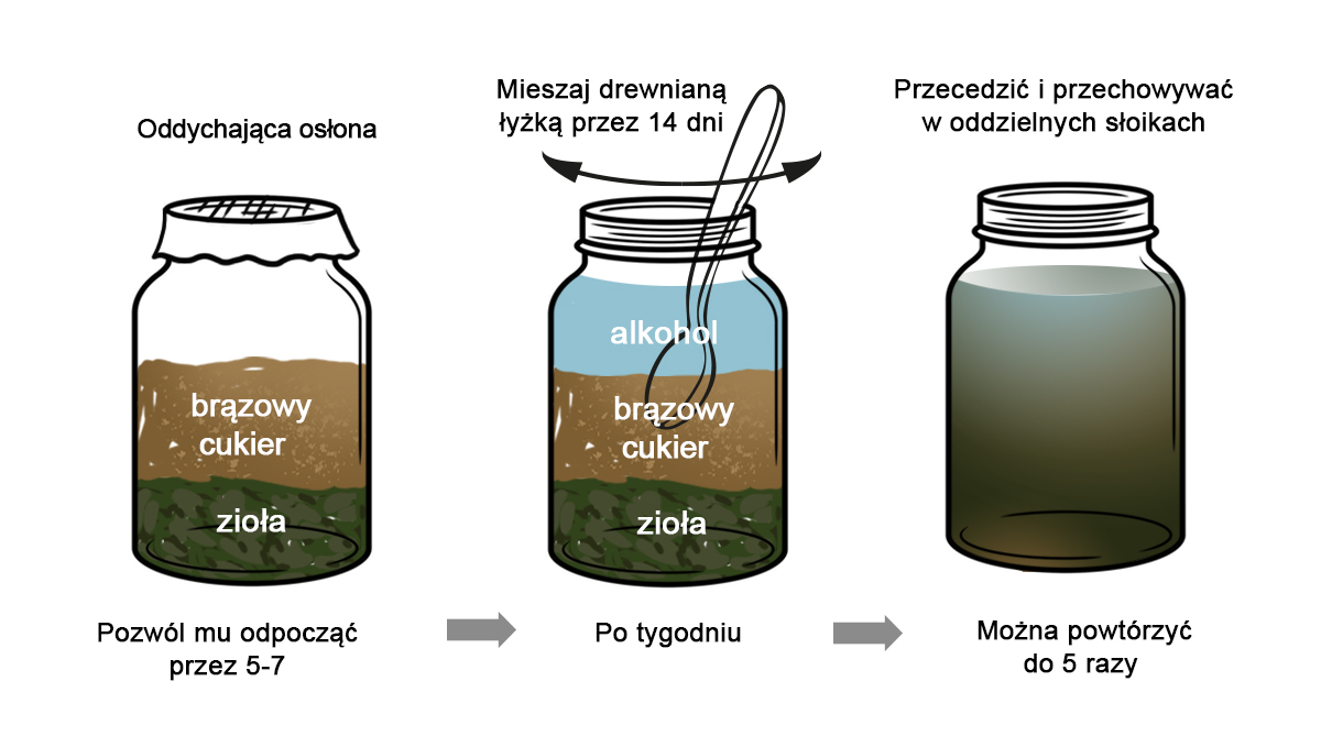 Koreańskie rolnictwo naturalne: receptura składników odżywczych ziół orientalnych