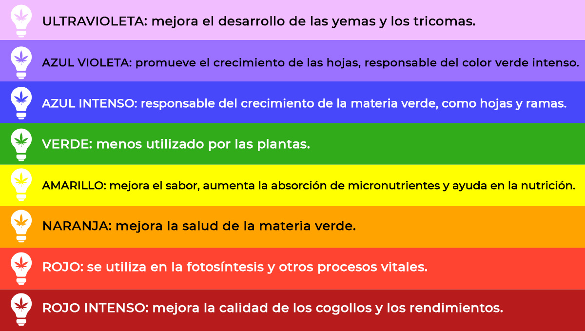 Espectro de luz para el crecimiento del cannabis Espectro de luz para el crecimiento del cannabis