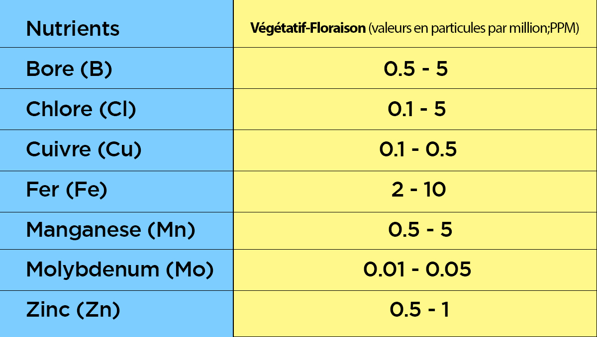 Quantités recommandées de micronutriments 