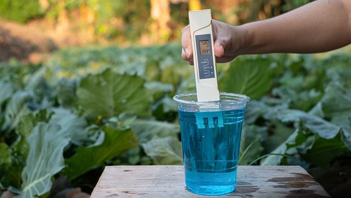 The importance of water purity: TDS meter