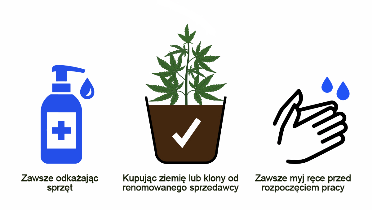 Tobacco Mosaic Virus: symptoms: prevention