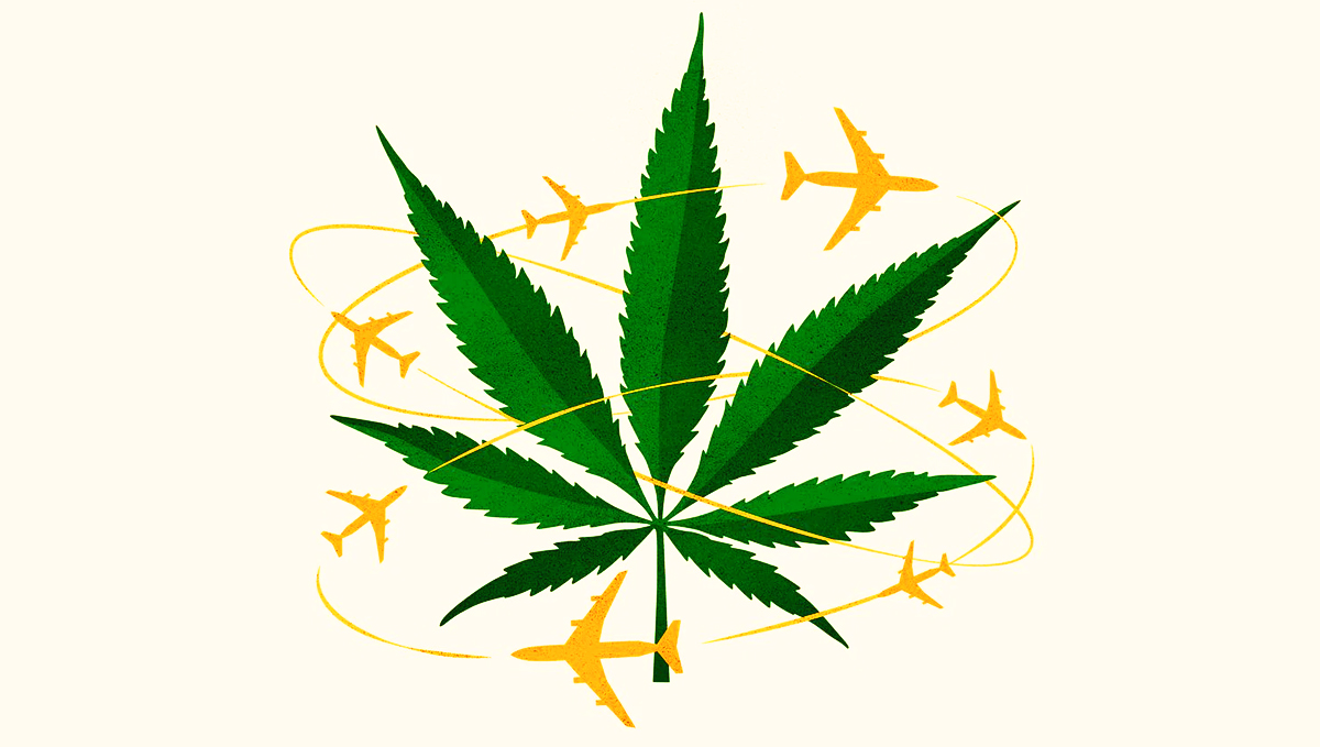 Find the top stoner-friendly countries.