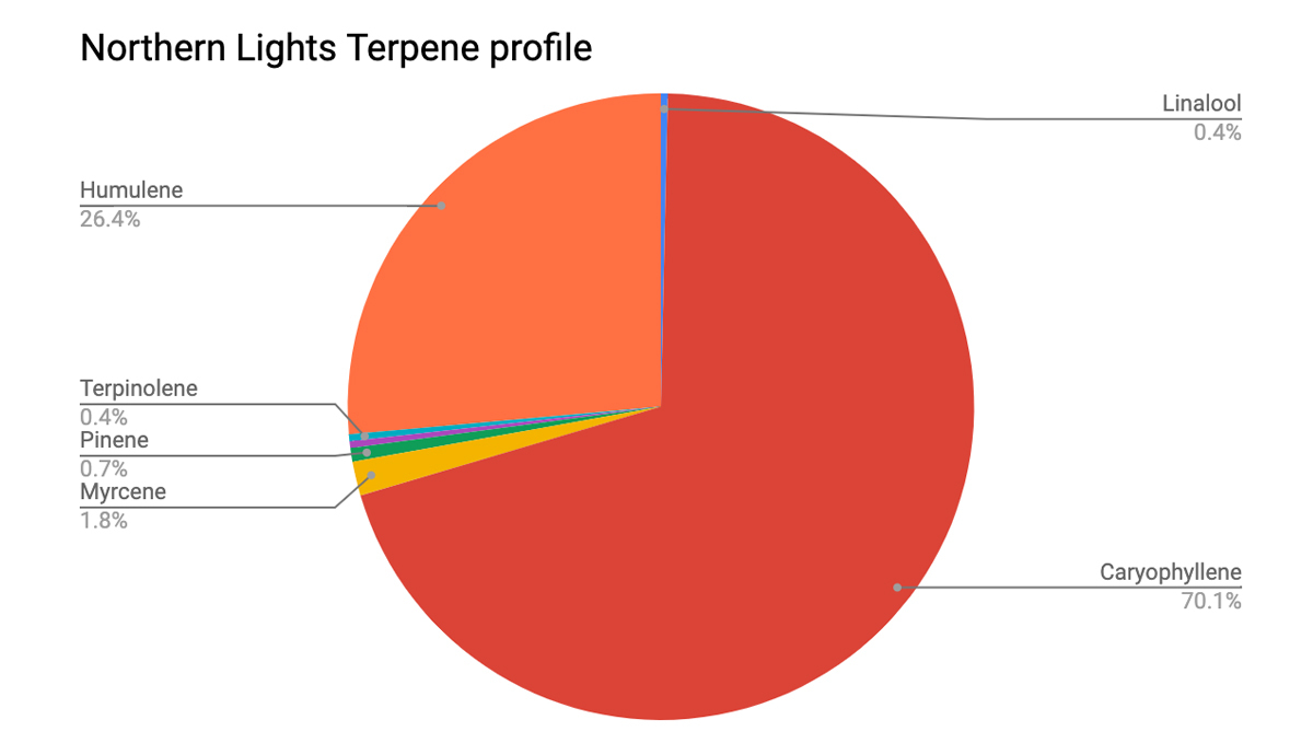 Northern Lights: terpene profile