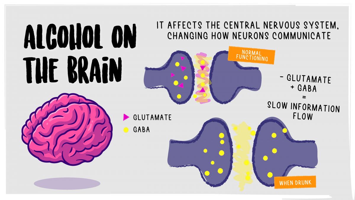 The effects of mixing alcohol and cannabis: the effects of alcohol on the brain The effects of mixing alcohol and cannabis: the effects of alcohol on the brain