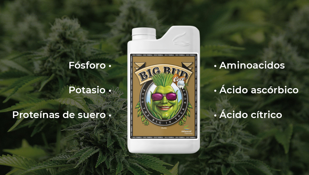 Nutrientes avanzados para autoflorecientes: big bud Nutrientes avanzados para autoflorecientes: big bud
