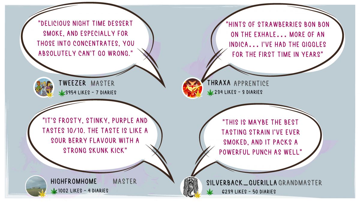 Strawberry Pie Auto Cannabis Strain Week-by-Week Guide: Smoke report