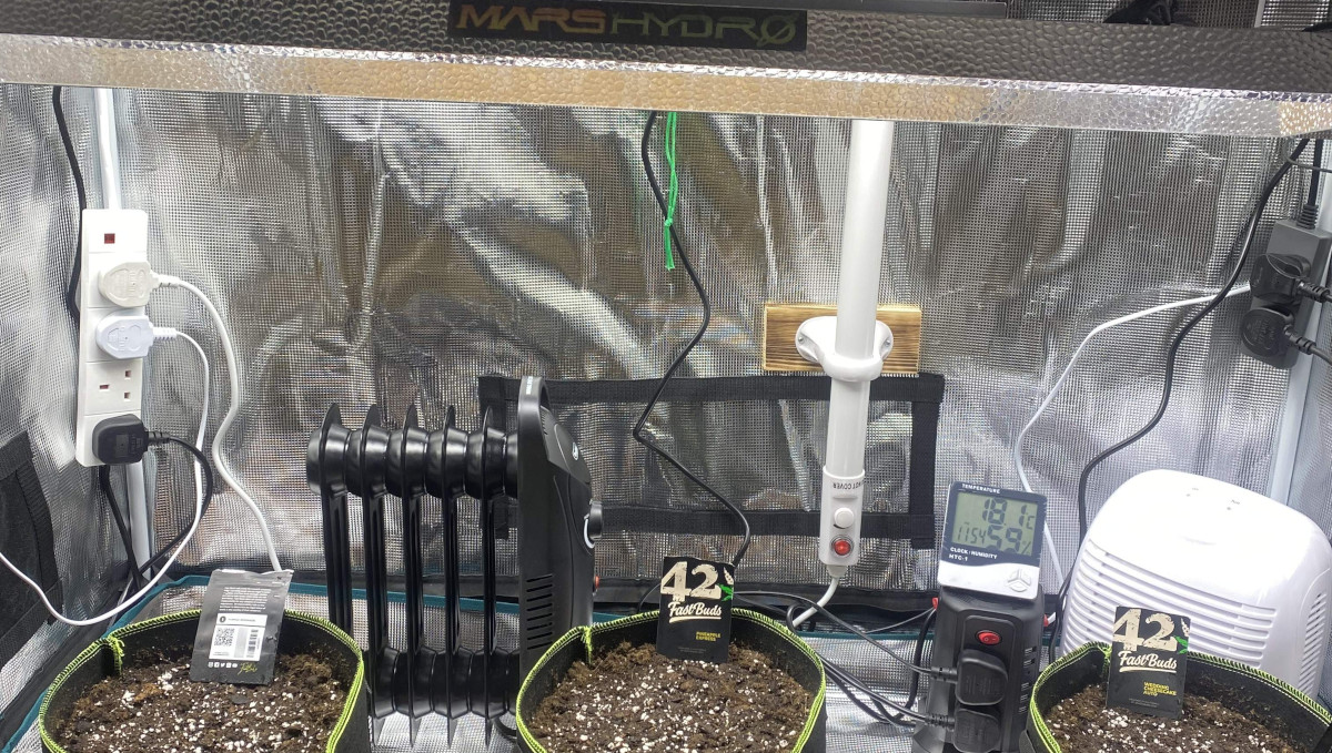 Gorilla Cookies Auto, guía semanal de la variedad: Una carpa de cultivo con Mars Hydro LED y tres macetas téxtiles Gorilla Cookies Auto, guía semanal de la variedad: Una carpa de cultivo con Mars Hydro LED y tres macetas téxtiles