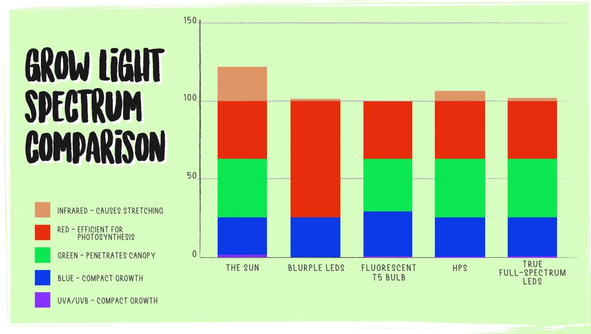 Best led lights for small spaces: spectrum comparison