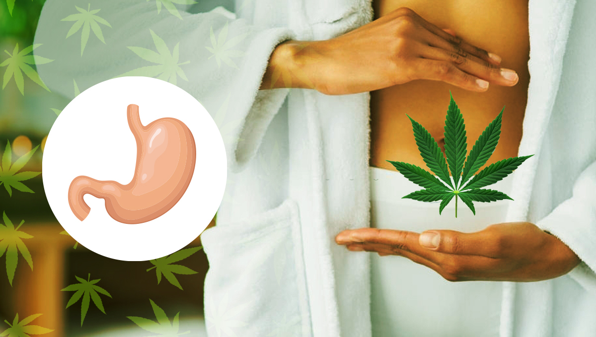 Edibles keep your digestive system safe Edibles keep your digestive system safe