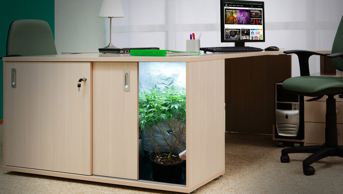 Get creative and hide your growing tent in an unusual place!