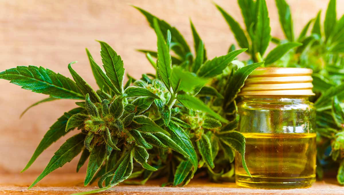 CBD's side effects only occur to certain people and alleviate through time and use. CBD's side effects only occur to certain people and alleviate through time and use.