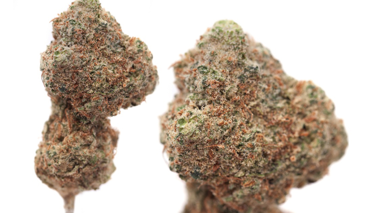 What are synthetic pgrs: what are they? What are synthetic pgrs: what are they?