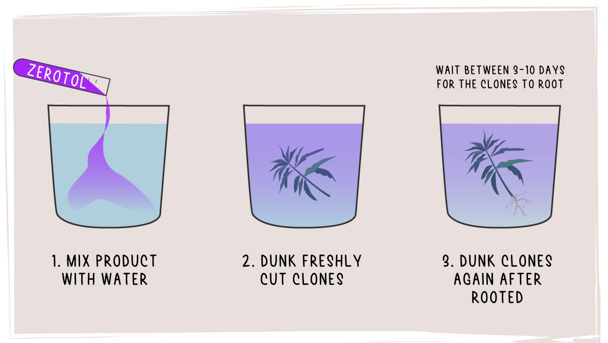 Hop latent viroid: alternative treatment