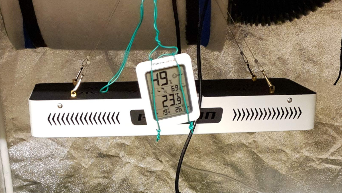 Orange Sherbet Auto Cannabis Strain Week-by-Week Guide: A generic LED fixture in a tent