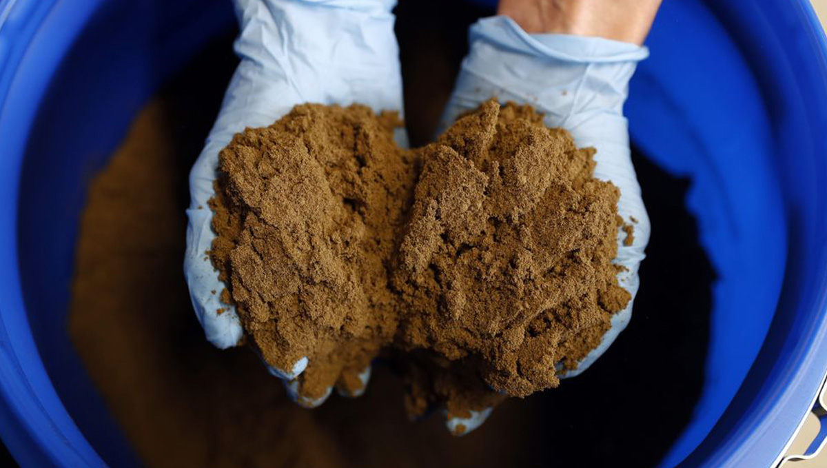 Hashishene: A Terp That Gives Moroccan Hash Its Unique Aroma: Mellow hashishene effects Hashishene: A Terp That Gives Moroccan Hash Its Unique Aroma: Mellow hashishene effects