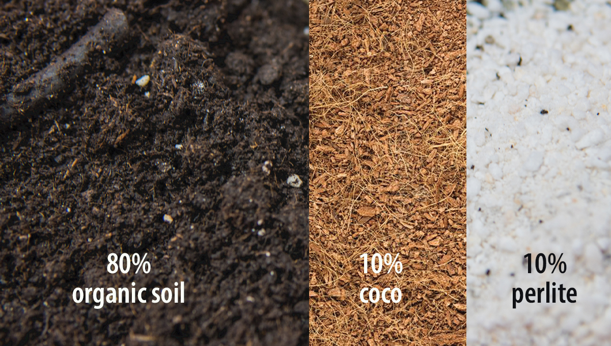 Best soil mix for beginner growers