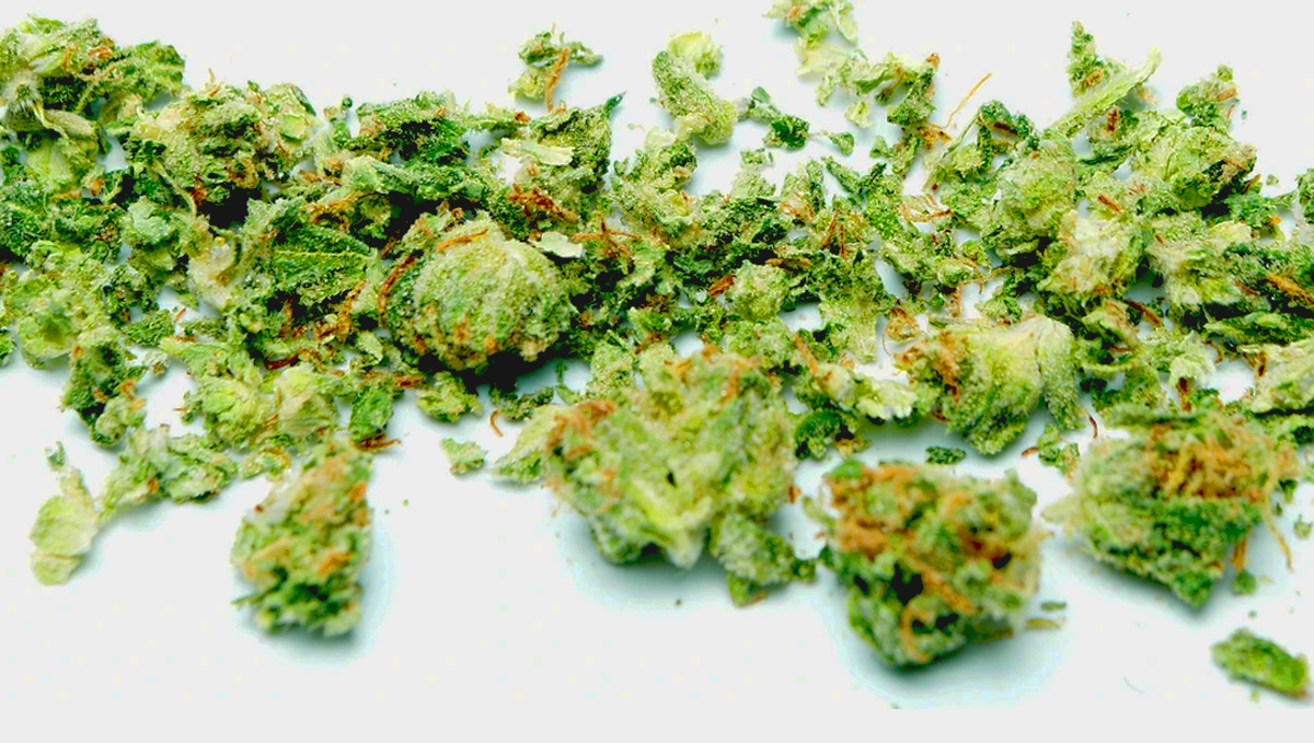 Grinded cannabis buds Grinded cannabis buds
