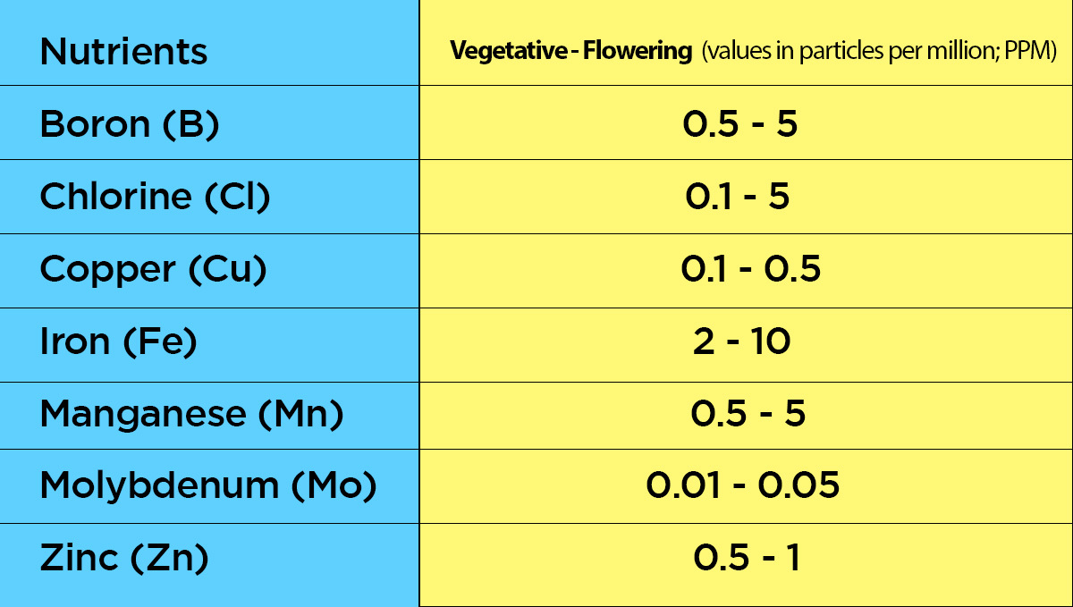 Recommended Amounts Of Micronutrients