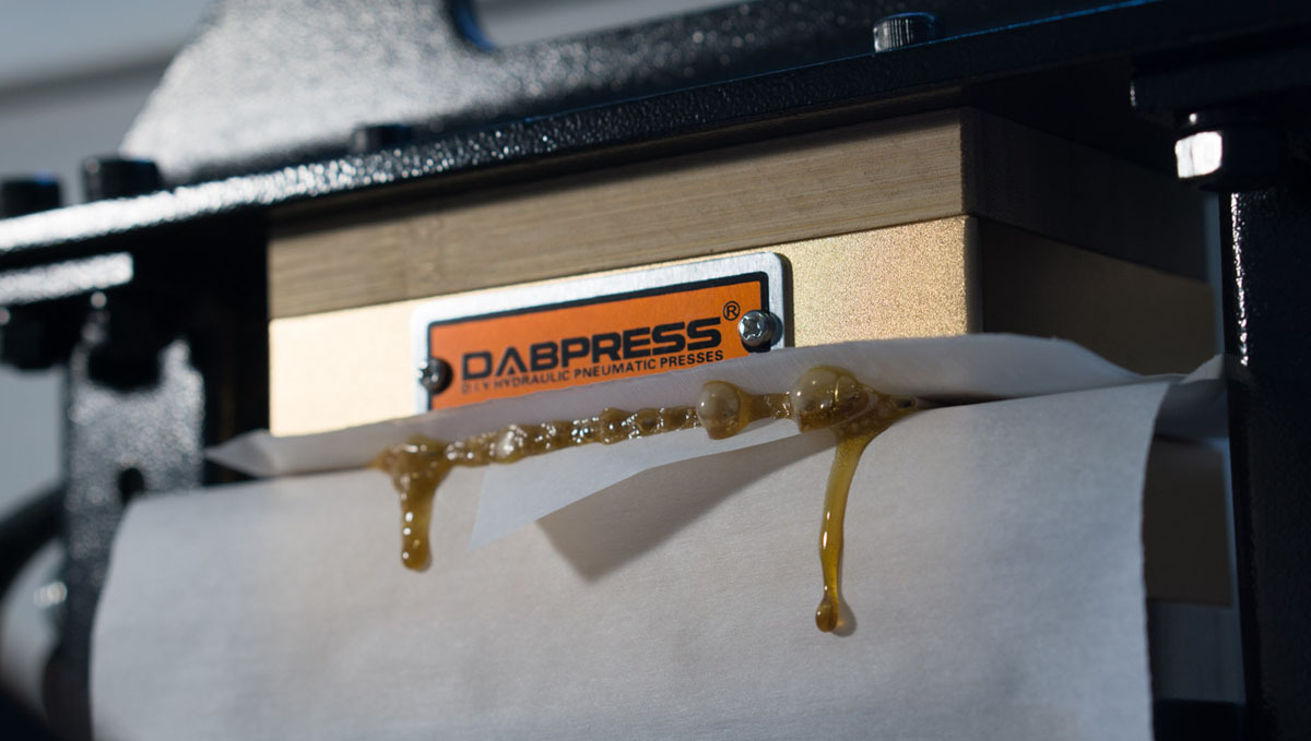 The best online cannabis courses: chemistry for hash makers The best online cannabis courses: chemistry for hash makers